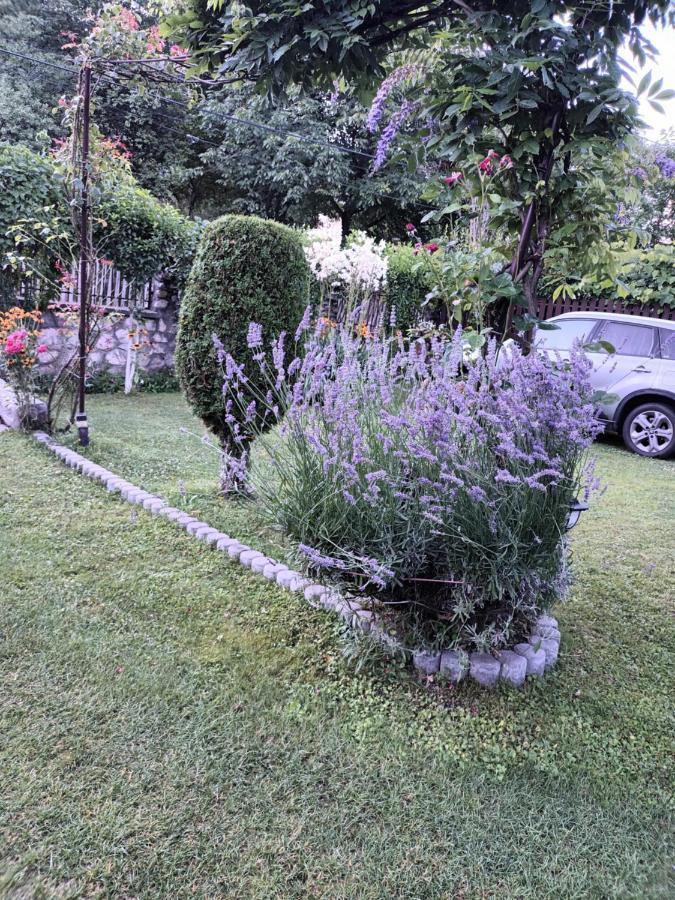 Отель Casa Bunicii Costesti  Экстерьер фото