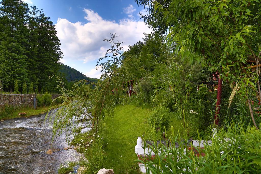 Отель Casa Bunicii Costesti  Экстерьер фото